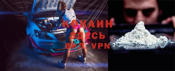 спайс Богданович
