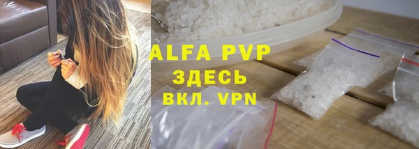 спайс Богданович