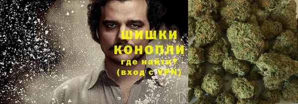 спайс Богданович