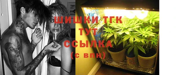 спайс Богданович