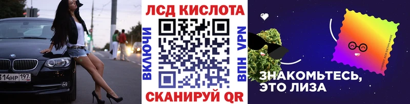 kraken вход  Разумное  Марки NBOMe 1,8мг 