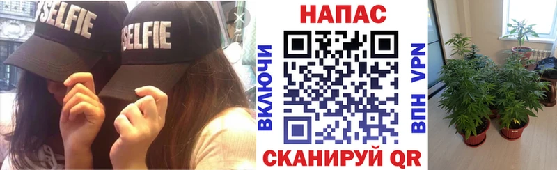 Канабис Bruce Banner Разумное